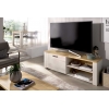 MOVEL DE TV COMPACTO 1 PORTA ANAIS